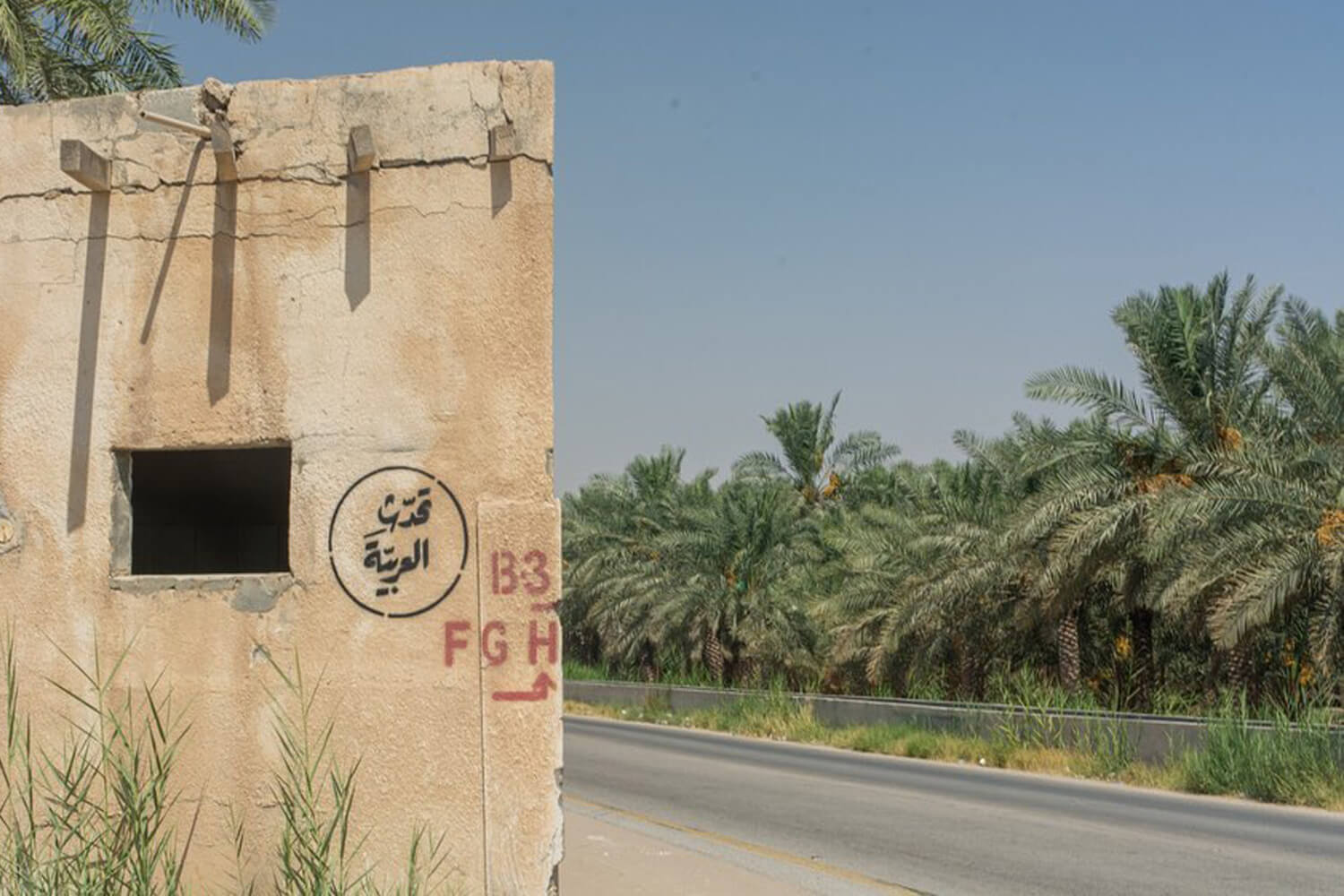 جدر عشوائية.. حظيت بالأختام الأولى!